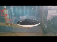 1/6 отражетелей диска пузыря аэратора диска мембраны точных на Dia 90*1000mm водоочистки