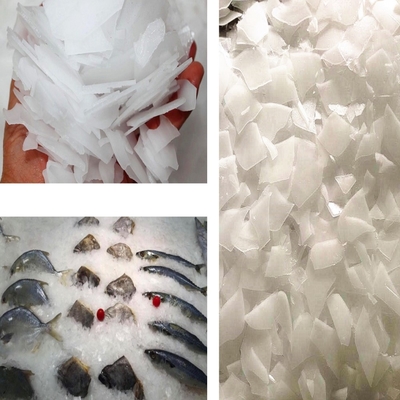 1tons ice making machine for fishery industry fish cooling and preservation industrial flake ice machine